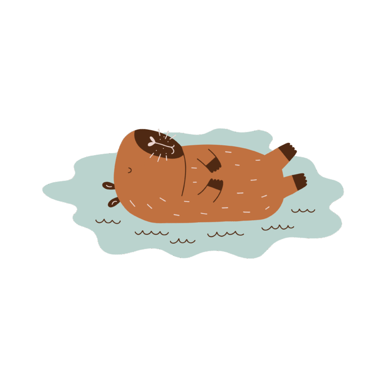 capybara marwell What is a Capybara